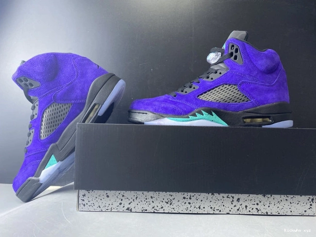 Retro Jordan 5 Air Alternate 136027-500 Grape 0811